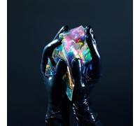 Enchanted By The Muse [VINYL]