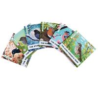 Enchanted Nature - Garden Birds Pack : Pack of Six Decodable Readers (Ages 5-7)