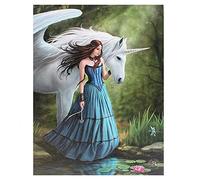Enchanted Pool -Gothic Portrait Of Fairy Princess with Unicorn by Pond / Lake - Fantastic Design by Artist Anne Stokes - Canvas Picture on Frame Wall Plaque / Wall Art