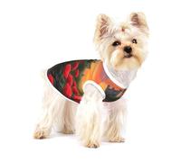Enchanted Rose Path Premium Dog Tshirt - Soft 100% Cotton Ropa Para Perros, Perfect for Small to Medium Dogs, Stylish and Comfortable Shirts for Dogs L