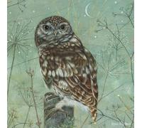 Enchanted Wildlife Card - Owl