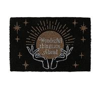 Enchanting Black Fortune Teller Doormat - 40cm x 60cm (1 Pc.) - Gothic Giftware with Golden Crystal Ball Design, Welcoming Text 'Wonderful Things Are Ahead' - Perfect for Home Use