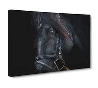 Enchanting Black Stallion Horse Canvas Print | Gallery Wrapped 30mm Frame Wall Art | 24x16 inches | Ready to Hang | Modern Animals Picture | Living Room Bedroom Lounge Office