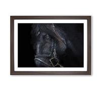 Enchanting Black Stallion Horse Framed Print | A2 Walnut Framed Wall Art | Ready to Hang | Modern Animal Picture | Living Room Bedroom Lounge Office