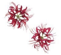 Enchanting Ear Headpiece Cosplay Headband Themed Hair Decoration Blending Comfort With Contemporary Trends For Women