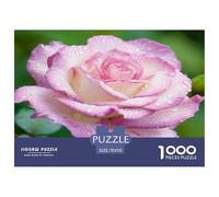 Enchanting Flowers 1000 Pieces Jigsaw Puzzles for Adults Educational Games Beautiful Home Decoration Art Colorful DIY Craft 70x50cm/1000pcs