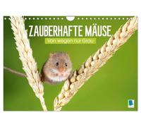 Enchanting Mice: Von wegen nur Grau (Wall Calendar 2026 DIN A4 Landscape), CALVENDO Monthly Calendar: Die Maus: Possierlicher Plagegeist (CALVENDO Animals)