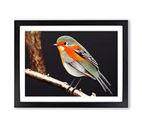 Enchanting Robin Bird Framed Wall Art Print A2 Black