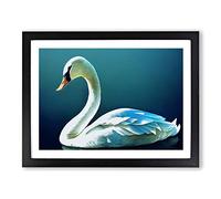 Enchanting Swan BLK Framed Wall Art Print A2 Black