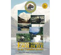 Encountering Wildlife In The Canadian Rockies