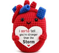 Encouragement Gift - Handmade Crochet Heart “You’re Stronger Than the Storm”, Inspirational You Got This Gift for Friends Coworkers Boss Teacher, Birthday Christmas Stocking Stuffer, Valentines Day