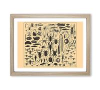 Encyclopaedia Insects Vintage Framed Wall Art Print, Ready to Hang Picture for Living Room Bedroom Home Office Décor, Oak A4 (34 x 25 cm)