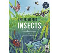 Encyclopedia of Insects: an illustrated guide to nature's most weird and wonderful bugs - Contains over 300 insects!