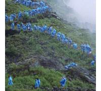 Courtney Barnett - End of the Day (Music From the film Anonymous Club) [VINYL]