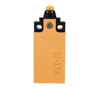 2R Limit Switch Slow Switching Plastic LS 266107