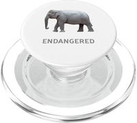 Endangered Animal Species Asian Elephant PopSockets PopGrip for MagSafe