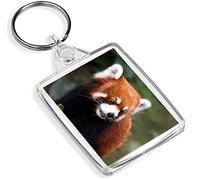 Endangered Red Panda Bear Keyring Animal Cute Wild Mum Gran Keyring #14159