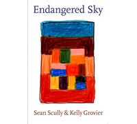 Endangered Sky: Sean Scully & Kelly Grovier (Zeitgenössische Kunst)