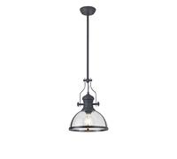 Endeavour Single Light Ceiling Pendant - Graphite with Clear Glass