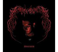 Endgame : Surrender VINYL 12" Album Coloured Vinyl (2021) NEW Great Value