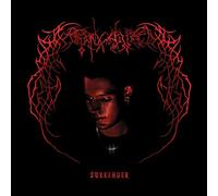 Endgame - Surrender [VINYL]
