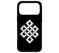 ENDLESS KNOT ETERNAL KNOT BUDDHISM JAINISM WISDOM CYCLE Case for iPhone 17 Pro Max