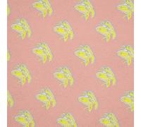 Endrick & the Sandwiches - Sunny Soul [VINYL]