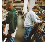 ENDTRODUCING.....