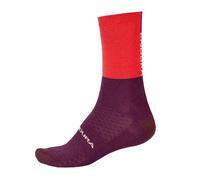 Endura BaaBaa Merino Winter Sock Pomegranate