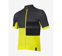 Endura FS260 Print Short Sleeve Jersey Yellow Black - L