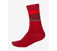 Endura Stripe BaaBaa Merino Socks Dark Red - S-M