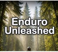 Enduro Unleashed PC Steam CD Key
