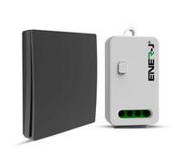 Ener-J 1 Gang Wireless Kinetic Switch, Black + 500W Rf Receiver