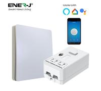 Ener-J 100W Smart Dimmable Receiver, RF + WiFi PRO Series, App & Voice Control