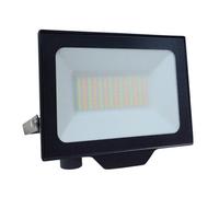 Ener-J 50W Led Floodlight Cct Switchable Ip65 Black 4500 Lumens 240V