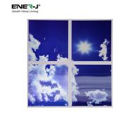 ENER-J Colour Changing & Dimmable SKY Cloud LED Panels 60x60 40W 3D Effect (set of 4 with Remote) in White | Size: 25 cm diameter x 19 cm high ENER-J White 25 cm diameter x 19 cm high