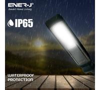 ENER-J LED Streetlight 30W 6000K Illumination on LED Mast Light Cool White in Black ENER-J Black