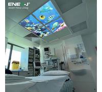 Ener-J Marine Led Panel 2D Version, 60X60Cms, 40W