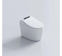 ENER-J Smart Bidet Toilet with Inner Tank in White ENER-J White