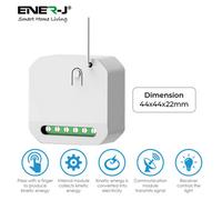 Ener-J Ws1055M Mini Non-Dimmable Receiver For Eco Range
