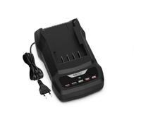 Energup G24C Replacement Charger for Greenworks Charger 24V G24X2UC2 Compatible with Greenworks 24V Battery and Charger G24B2 G24B4