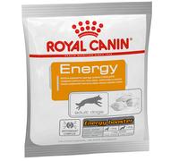 NO PORK ROYAL CANIN Nutritional Supplement Energy 50g