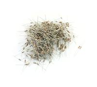 Energy consuming elements 1000Pcs 1/4W 2 Ohm 5% Tolerance axia-l Lead Through Hole Mounting 4 Color Ring Carbon Film Fixed Resistor 6mm x 2mm (1000Pcs 1/4W 2 Ohm 5% Tolerance axia-l Lead Through Hole