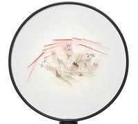 Energy consuming elements 13valuesx10PCS=130PCS 0.5W Regulator 9.1V-33V 1/2w Zener Diode Component Assorted kit Package
