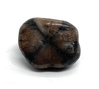 Energy In Harmony Chiastolite Medium Crystal Tumble Stone - Full Cross - 1 Pc