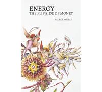 Energy, the flip side of money