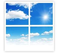 ENERJ Sky Ceiling Light Box with Remote, Dimmable with Remote LED Light Cool Ultra Thin Panel, 4 Pcs of 60X60Cms / 600x600mm Sky, Mimics Natural Light for Office and Home (3D, 40W, 1500 Lumens)