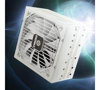 ENERMAX PLATIMAXII 1200W Snow White | 80 Plus Cybenetics Platinum | Fully Modular ATX 3.1 Power Supply | PCIe 5.1 12V-2x6 | Whisper-Quiet 135mm DF Fan 60% Semi-Fanless | 105°C Japan Caps |