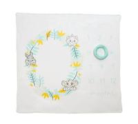 Enchanting Disney Baby Themed Milestone Photo Blanket Baby Shower Gift