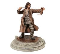 Enesco Wizarding World of Harry Potter Sirus Black - Prisoner Version Figurine